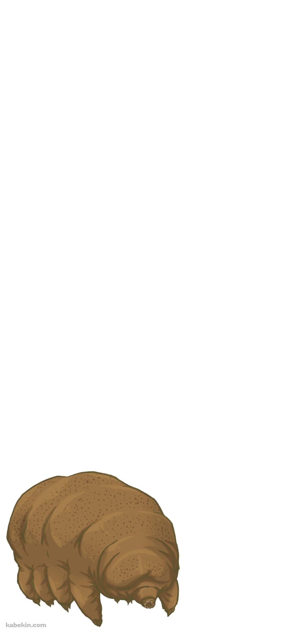 クマムシのAndroidの壁紙(1080px x 2400px) スマホ用