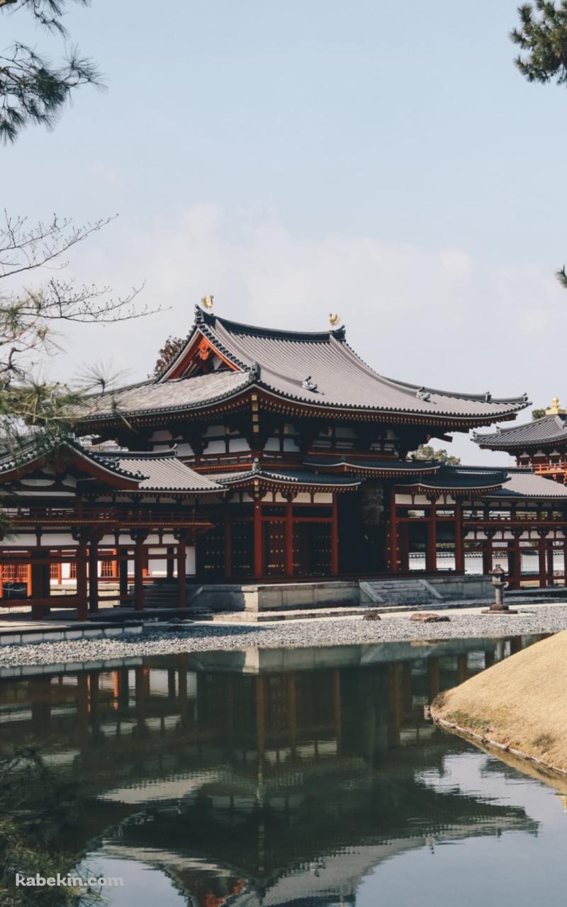 京都 宇治 平等院 寺院のAndroidの壁紙(800px x 1280px) スマホ用