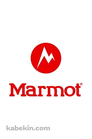 Marmot（マーモット）のAndroidの壁紙(320px x 480px) スマホ用