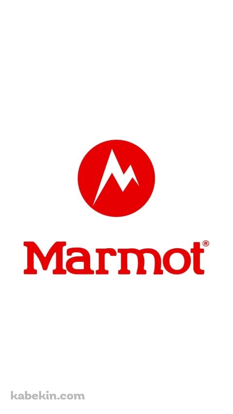 Marmot（マーモット）のAndroidの壁紙(480px x 854px) スマホ用