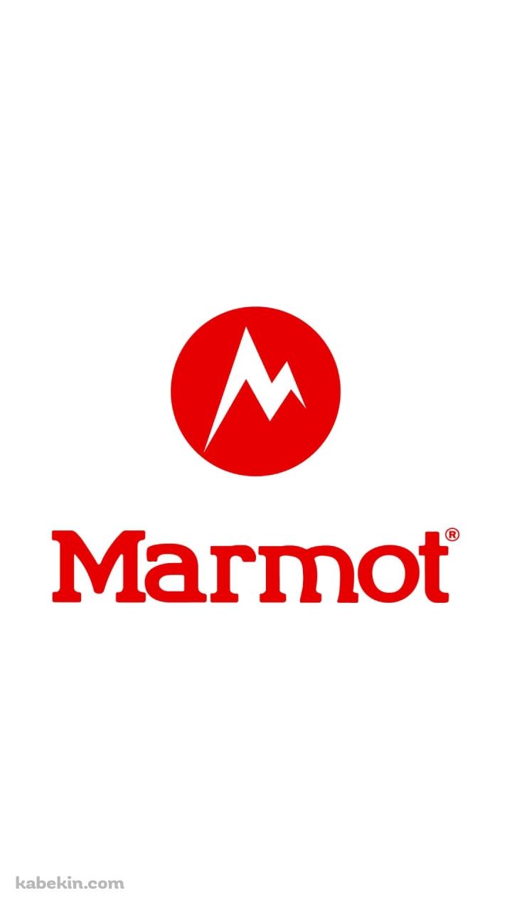 Marmot（マーモット）のAndroidの壁紙(720px x 1280px) スマホ用