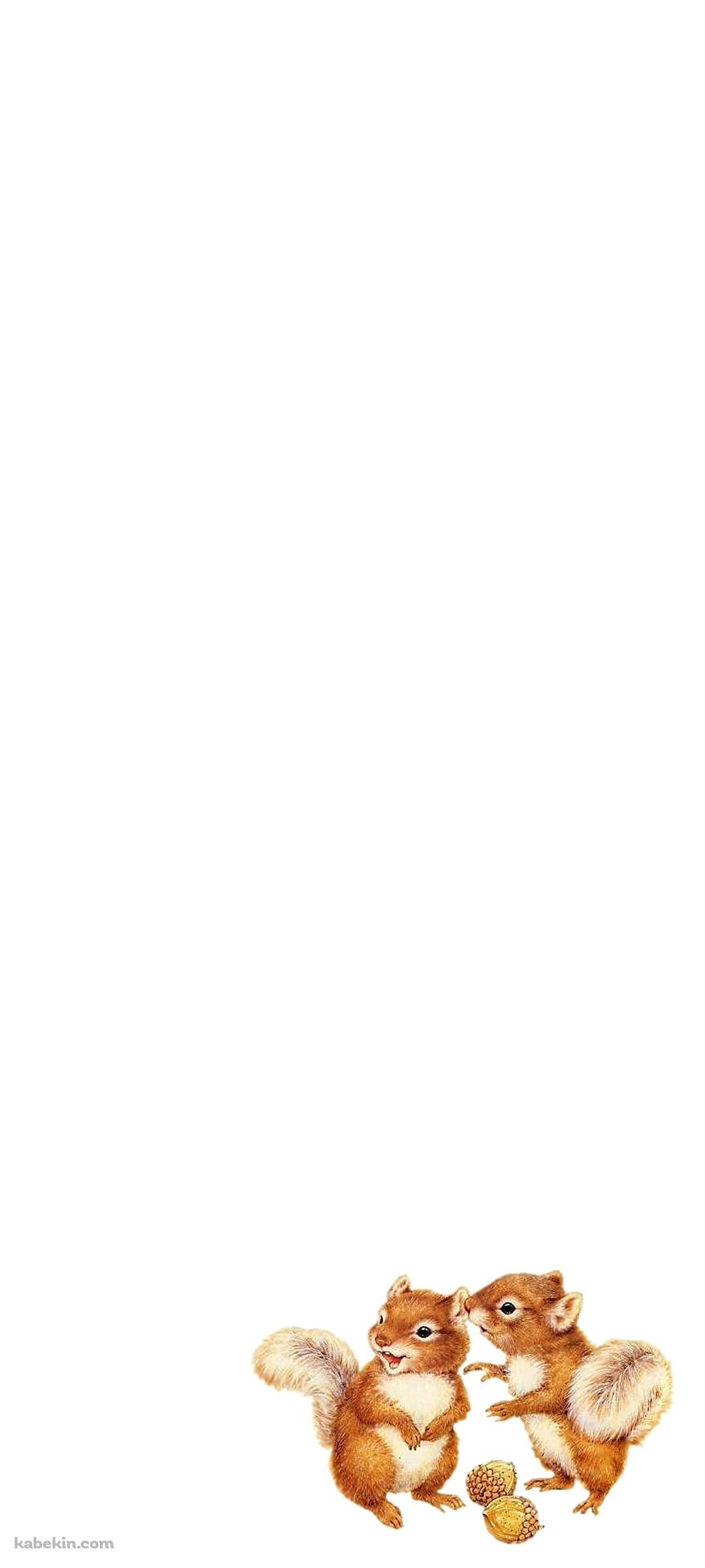 リスのAndroidの壁紙(1080px x 2400px) スマホ用