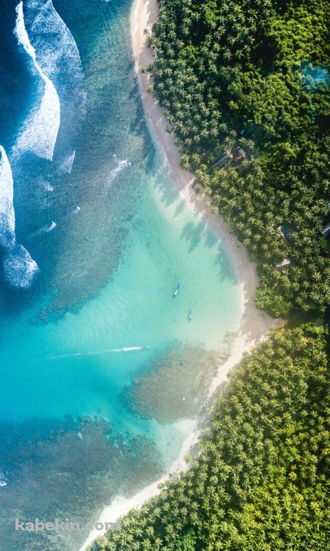 俯瞰視点 ハワイの海と森のAndroidの壁紙(480px x 800px) スマホ用