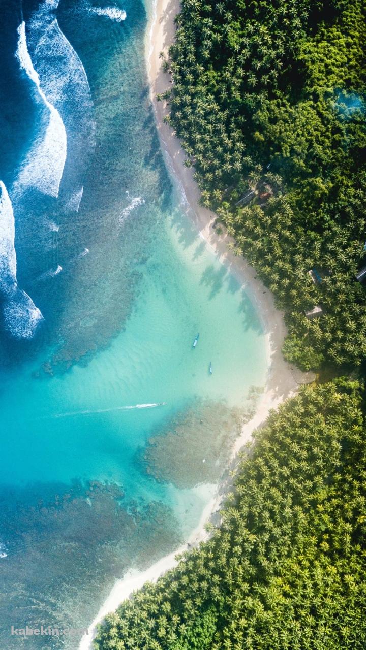俯瞰視点 ハワイの海と森のAndroidの壁紙(720px x 1280px) スマホ用