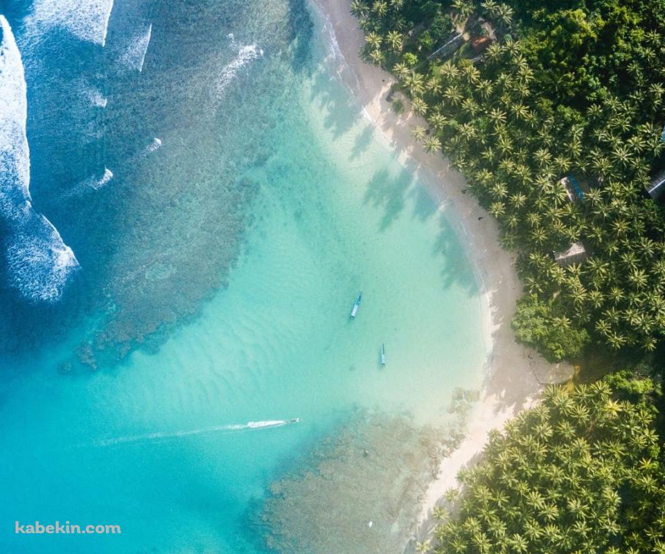 俯瞰視点 ハワイの海と森のAndroidの壁紙(960px x 800px) スマホ用