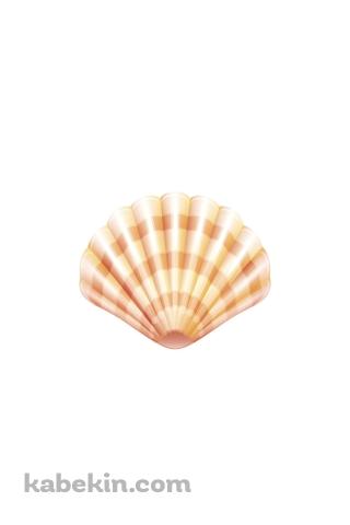 貝 ホタテのAndroidの壁紙(320px x 480px) スマホ用