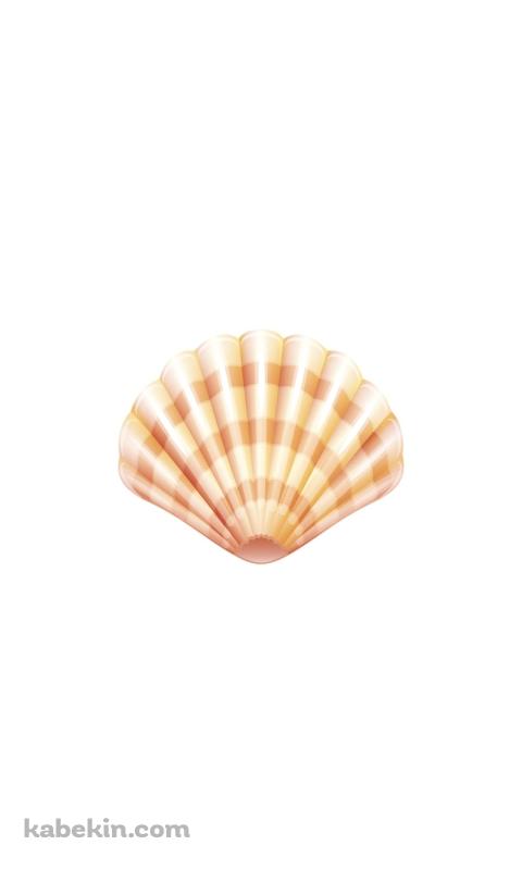 貝 ホタテのAndroidの壁紙(480px x 800px) スマホ用