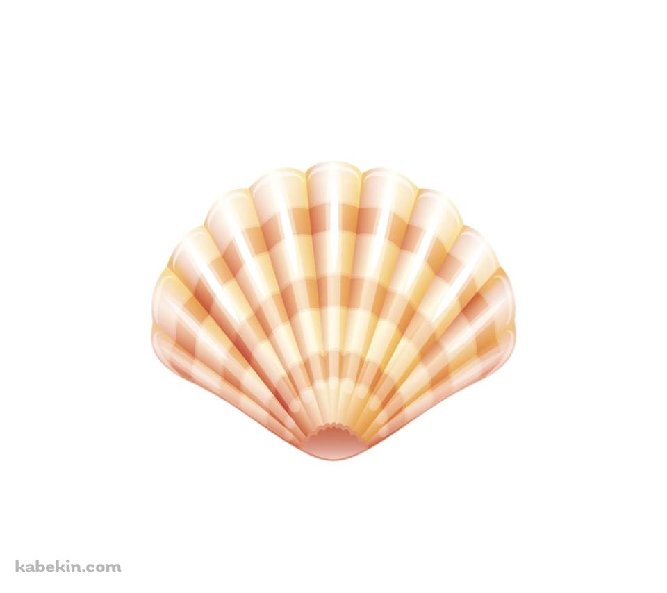 貝 ホタテのAndroidの壁紙(960px x 854px) スマホ用