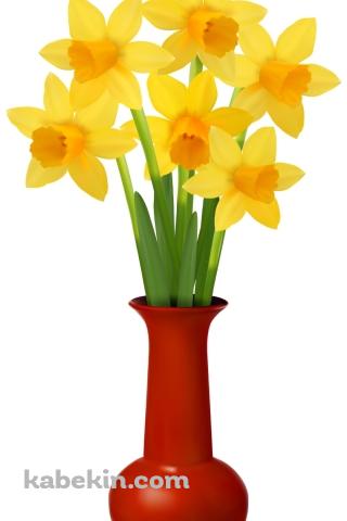 水仙のAndroidの壁紙(320px x 480px) スマホ用