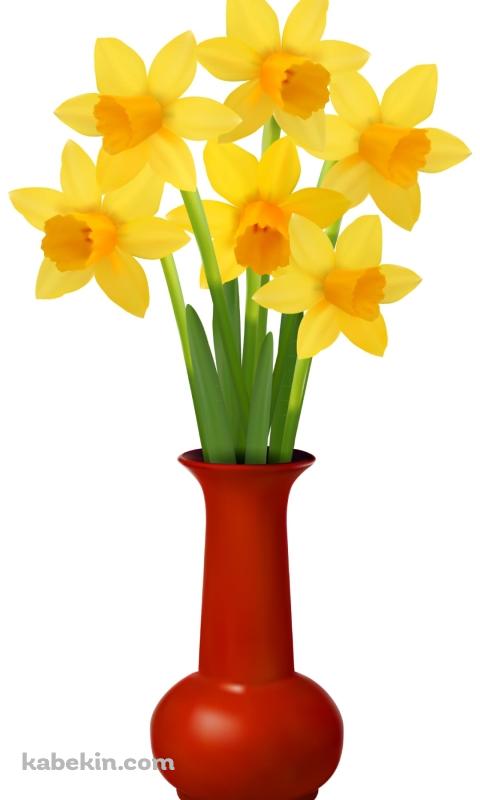 水仙のAndroidの壁紙(480px x 800px) スマホ用