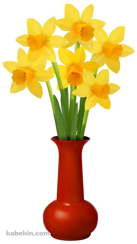 水仙のAndroidの壁紙(480px x 854px) スマホ用