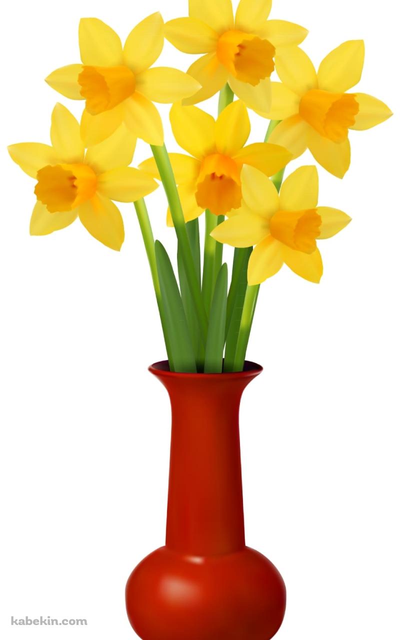 水仙のAndroidの壁紙(800px x 1280px) スマホ用