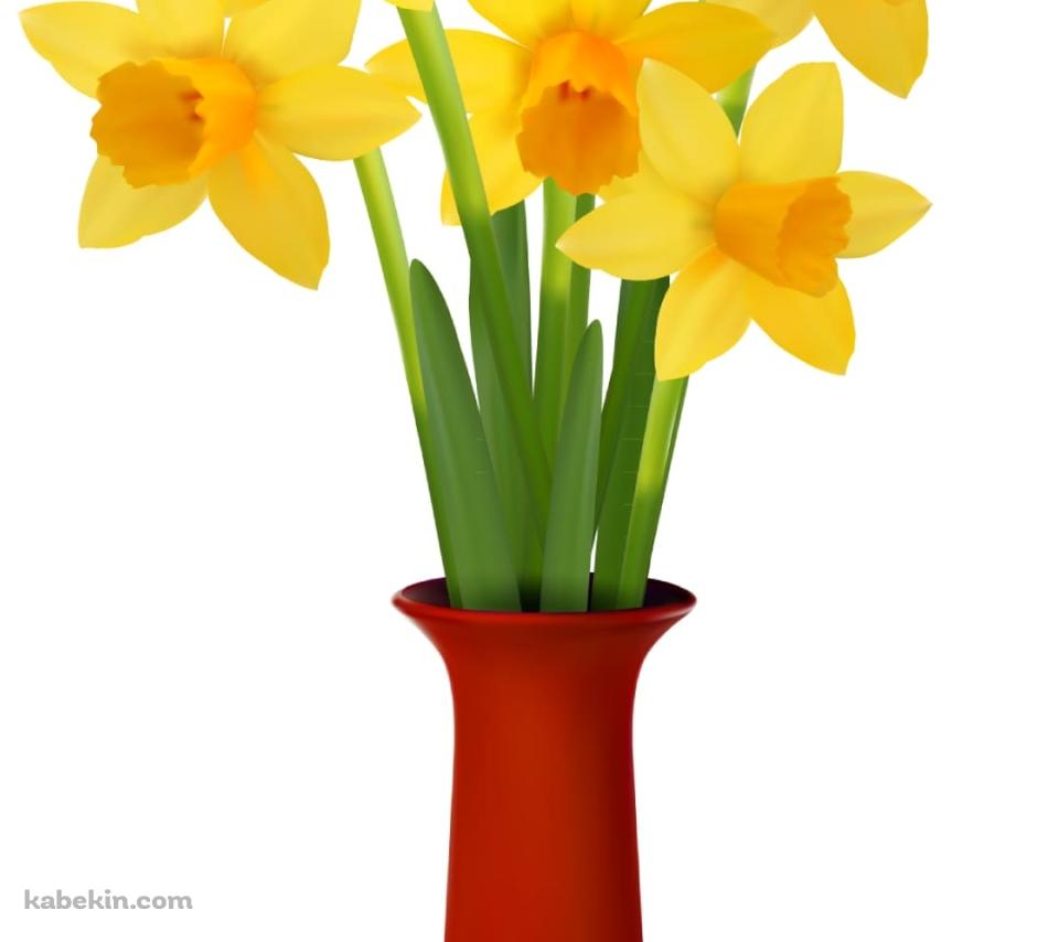 水仙のAndroidの壁紙(960px x 854px) スマホ用