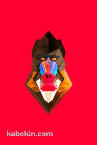 マンドリルのAndroidの壁紙(320px x 480px) スマホ用