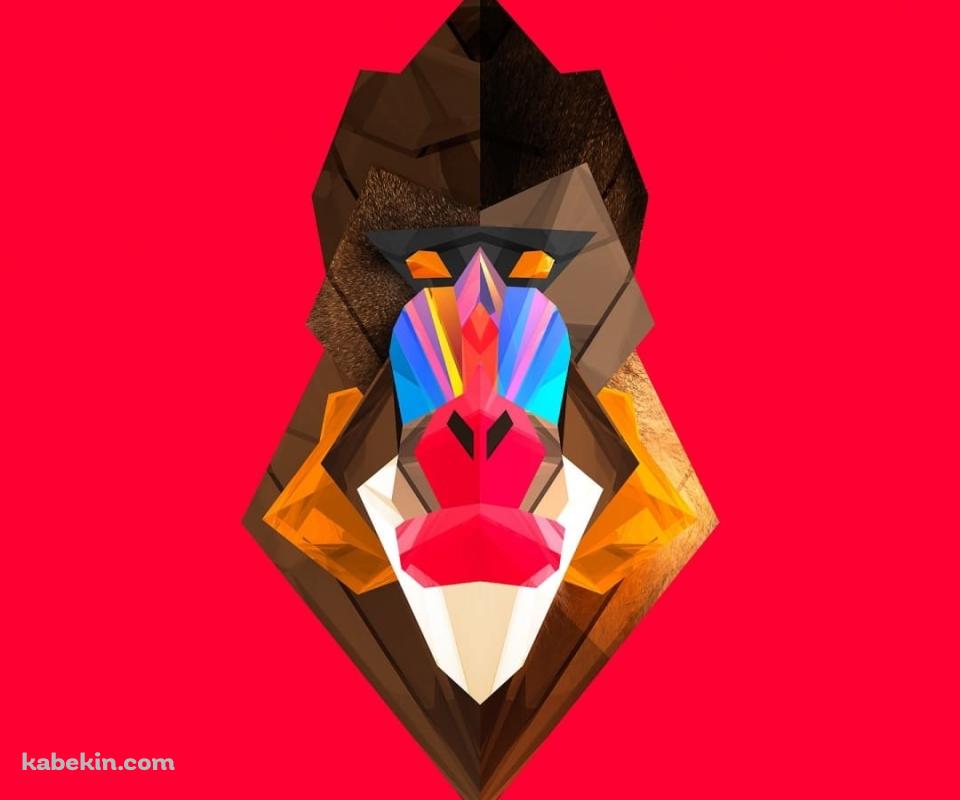 マンドリルのAndroidの壁紙(960px x 800px) スマホ用