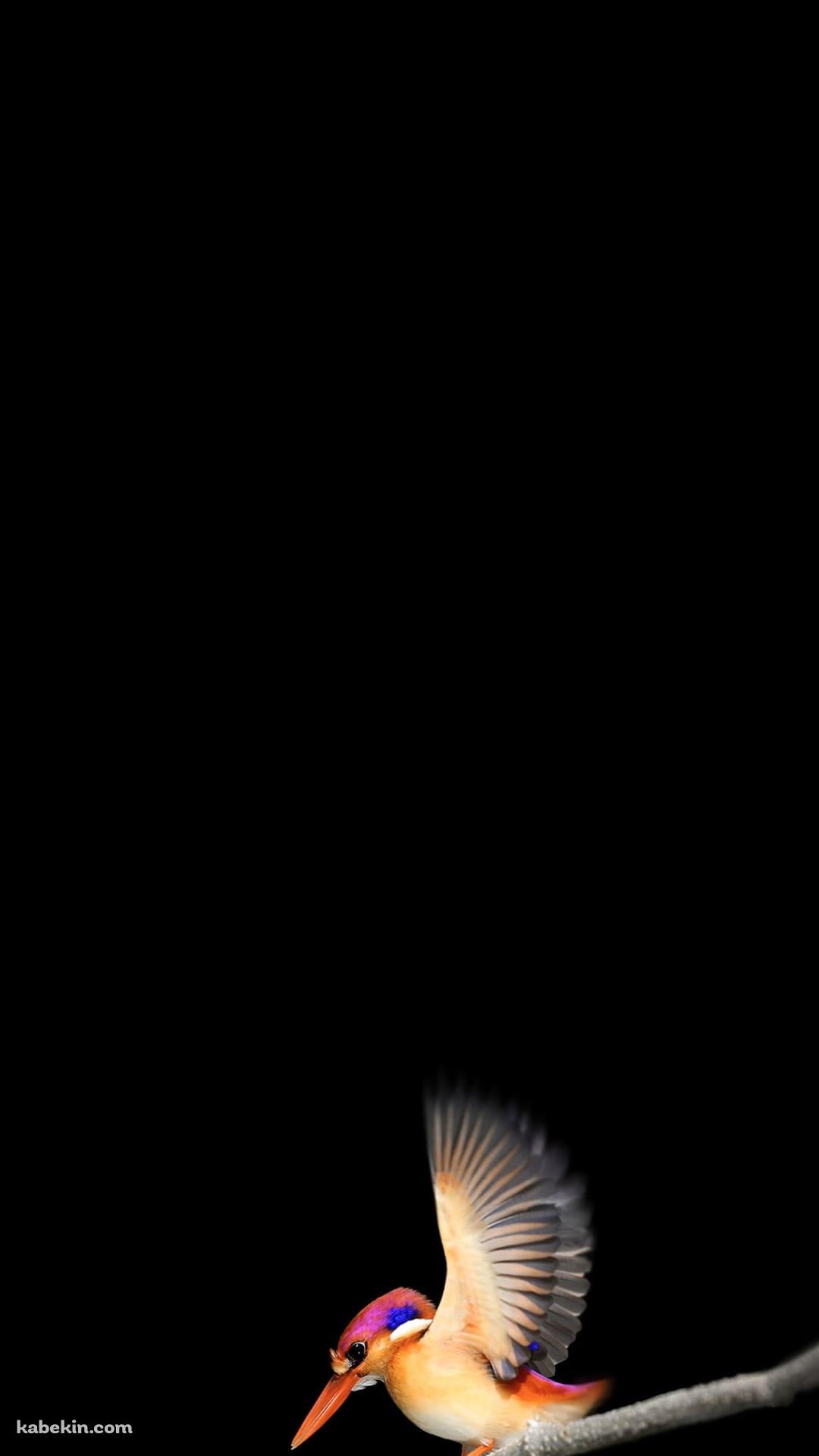 枝にとまったピンクとオレンジの小鳥のAndroidの壁紙(1080px x 1920px) スマホ用