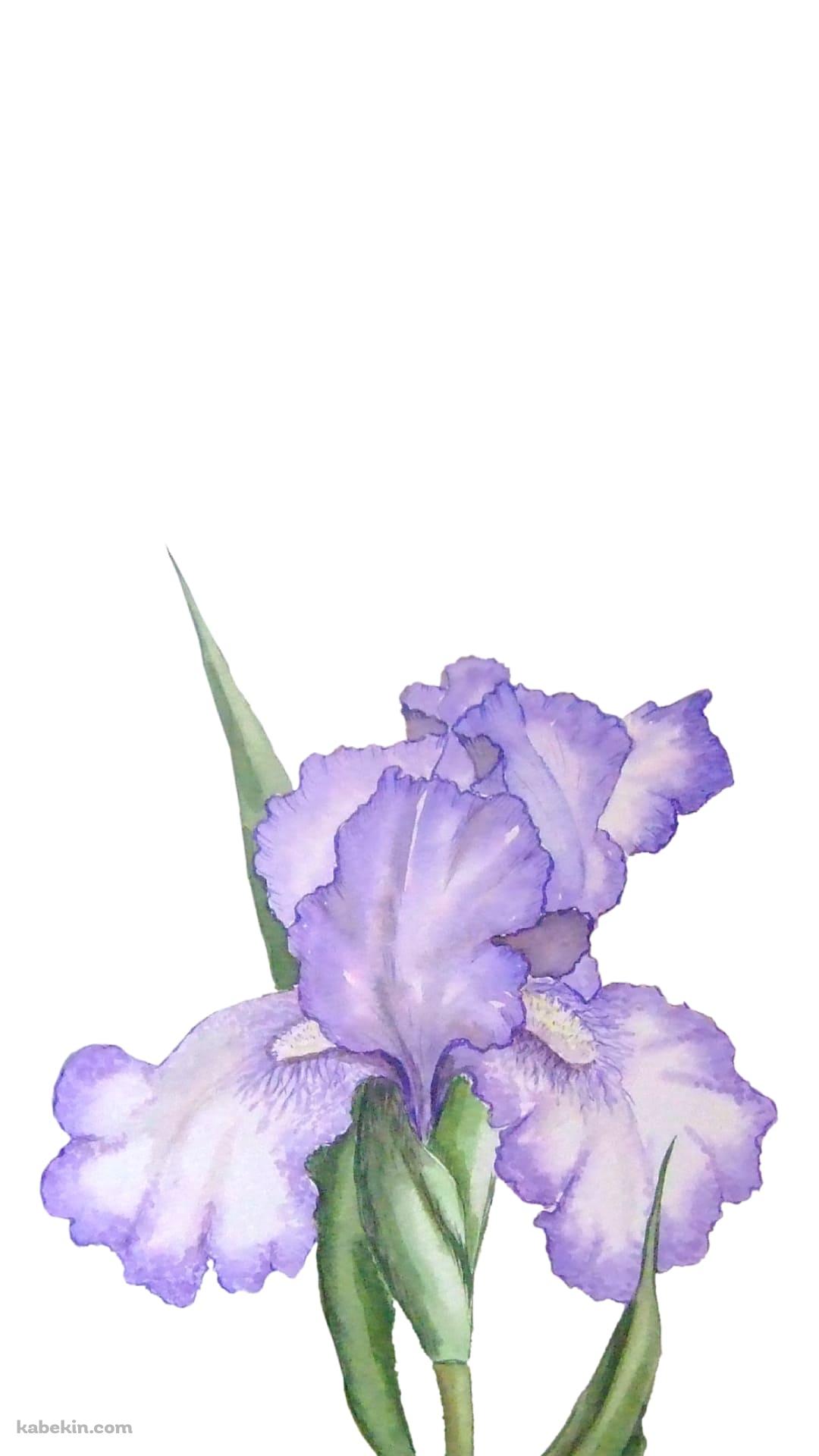 菖蒲のAndroidの壁紙(1080px x 1920px) スマホ用