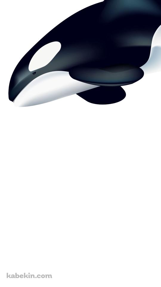 シャチのAndroidの壁紙(540px x 960px) スマホ用
