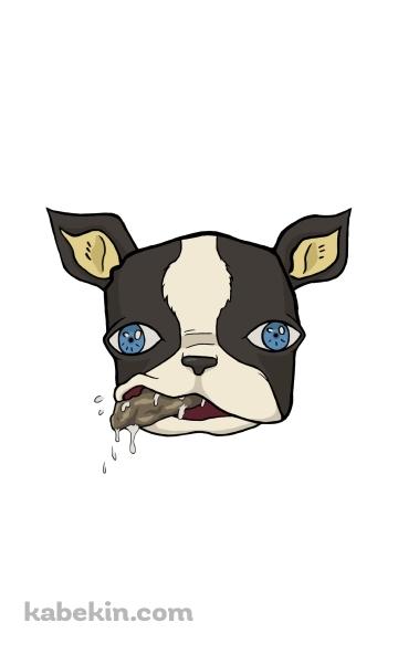 ジョジョの奇妙な冒険 イギーのAndroidの壁紙(360px x 592px) スマホ用
