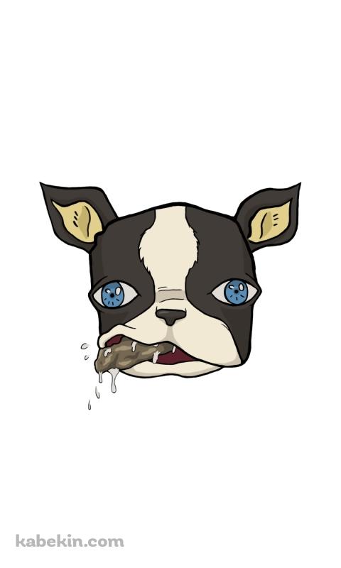 ジョジョの奇妙な冒険 イギーのAndroidの壁紙(480px x 800px) スマホ用