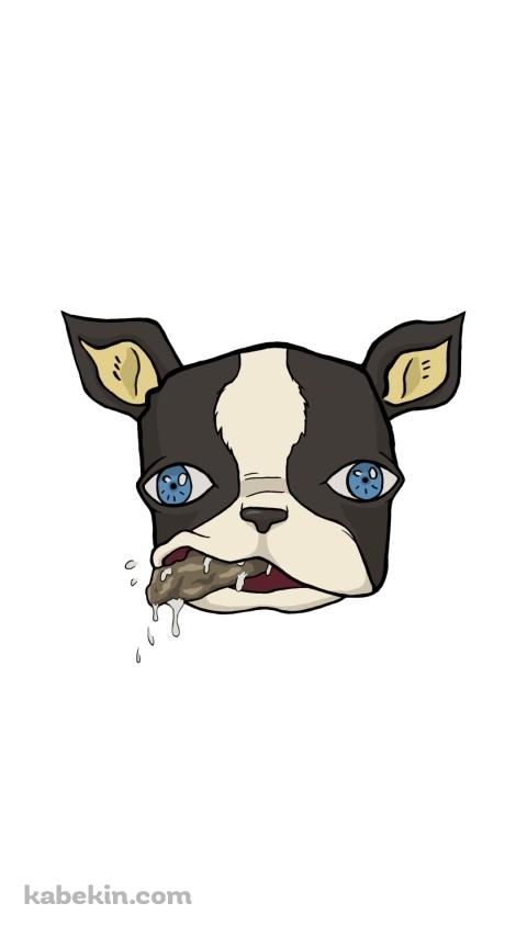 ジョジョの奇妙な冒険 イギーのAndroidの壁紙(480px x 854px) スマホ用