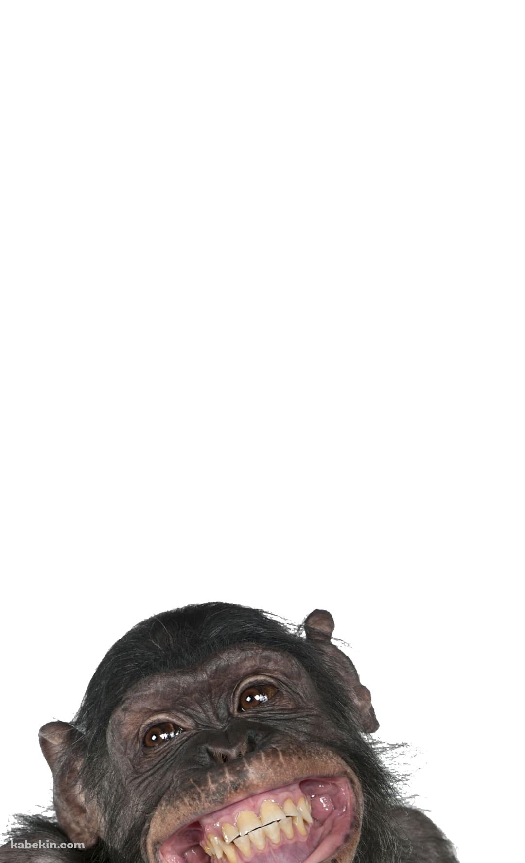 笑うチンパンジーのAndroidの壁紙(1080px x 1776px) スマホ用