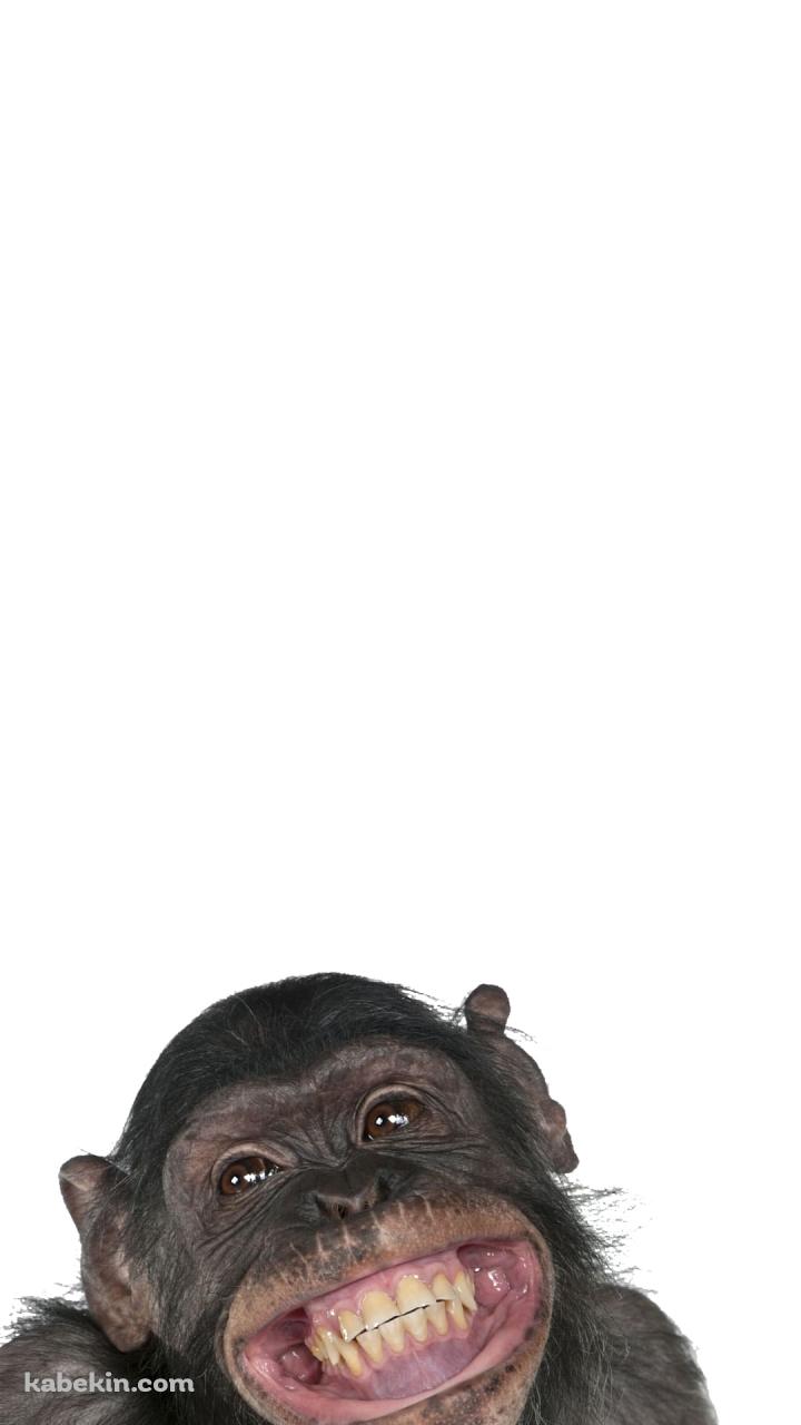 笑うチンパンジーのAndroidの壁紙(720px x 1280px) スマホ用