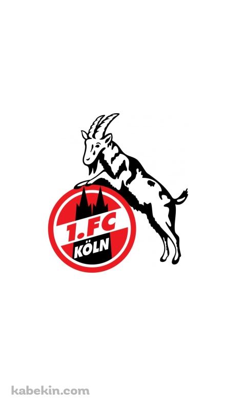 1.FCケルンのAndroidの壁紙(480px x 800px) スマホ用