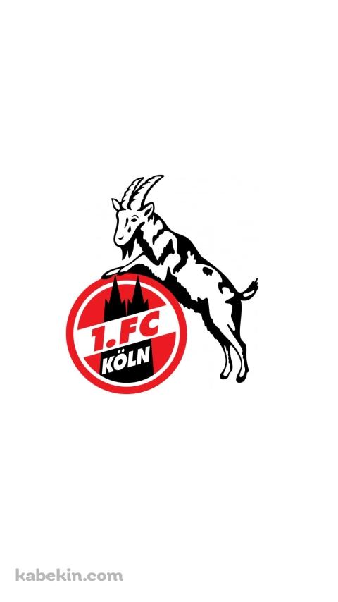 1.FCケルンのAndroidの壁紙(480px x 854px) スマホ用