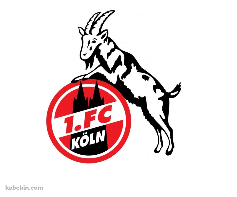 1.FCケルンのAndroidの壁紙(960px x 800px) スマホ用