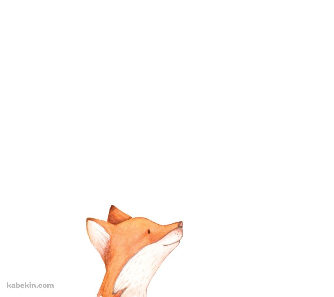 かわいい狐のイラストのAndroidの壁紙(1080px x 960px) スマホ用