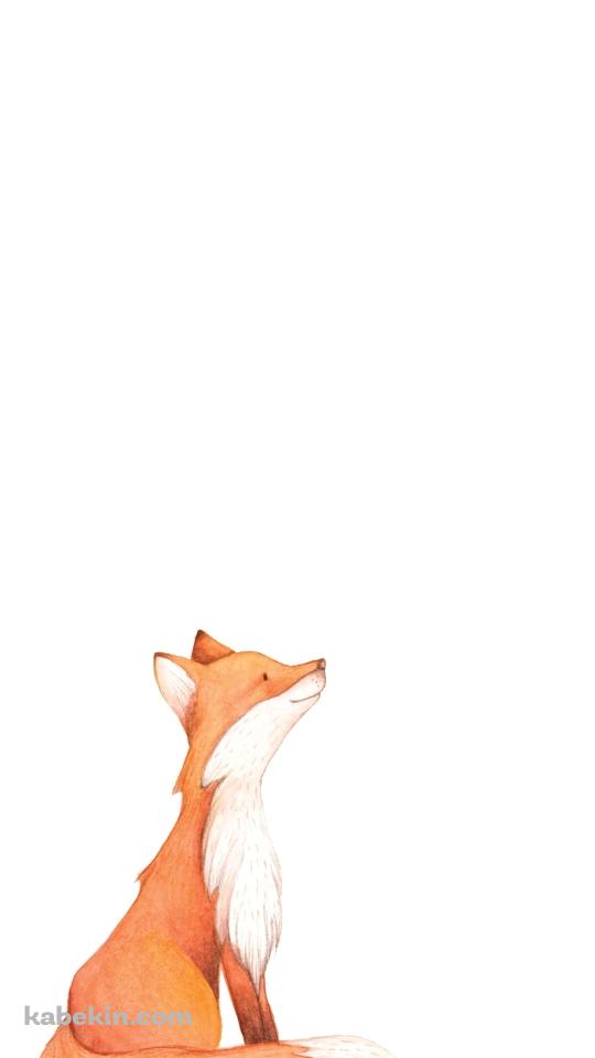 かわいい狐のイラストのAndroidの壁紙(540px x 960px) スマホ用