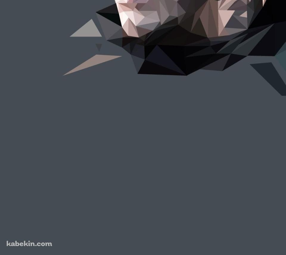 ゲーム・オブ・スローンズ ジョン・スノー ポリゴンのAndroidの壁紙(960px x 854px) スマホ用
