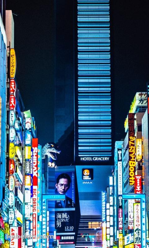 東京都新宿区歌舞伎町のAndroidの壁紙(480px x 800px) スマホ用