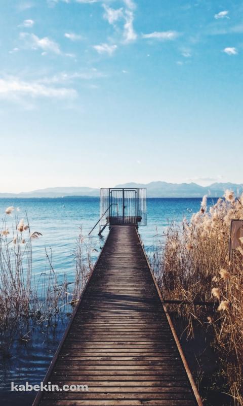 晴れた日の海と木の桟橋のAndroidの壁紙(480px x 800px) スマホ用