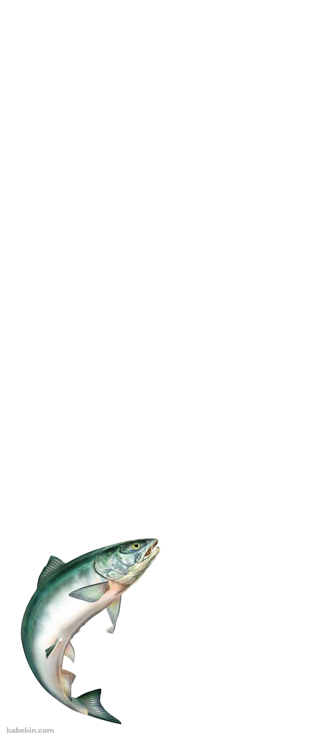 鮭 サーモンのAndroidの壁紙(1080px x 2400px) スマホ用
