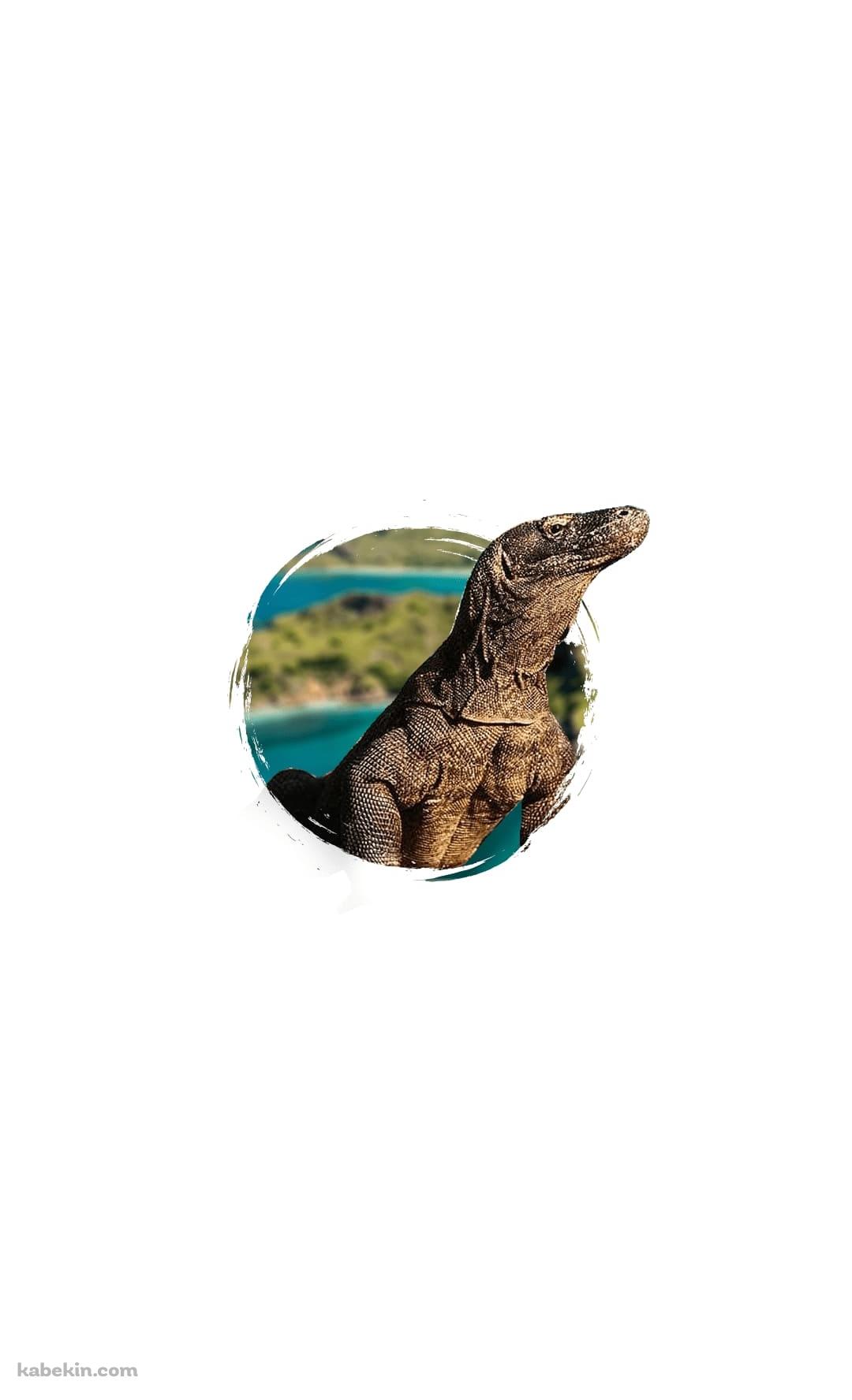 コモドドラゴンのAndroidの壁紙(1080px x 1776px) スマホ用