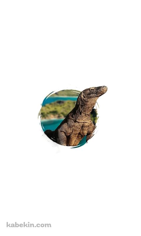 コモドドラゴンのAndroidの壁紙(480px x 800px) スマホ用