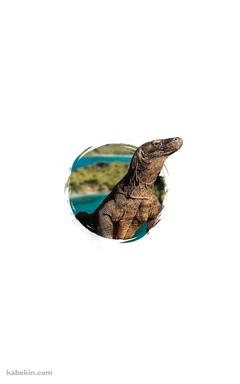 コモドドラゴンのAndroidの壁紙(800px x 1280px) スマホ用