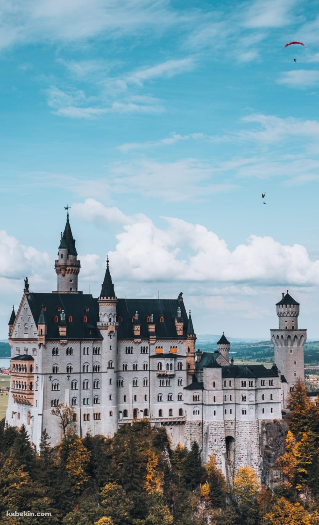 ノイシュヴァンシュタイン城 ドイツのAndroidの壁紙(1080px x 1776px) スマホ用