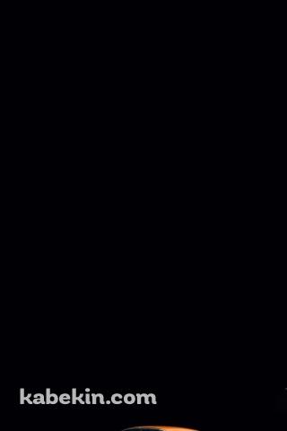 ポルシェ 911のAndroidの壁紙(320px x 480px) スマホ用