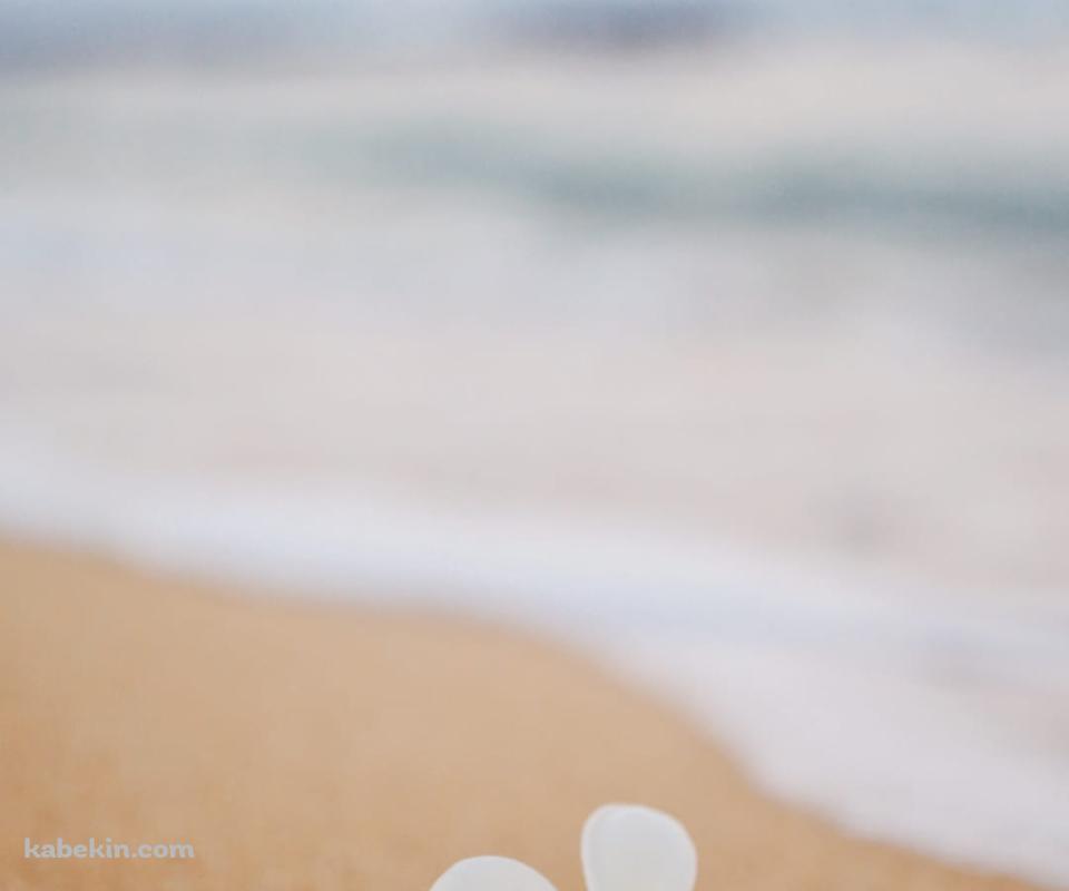 ハワイのワイキキビーチ 白い花のAndroidの壁紙(960px x 800px) スマホ用