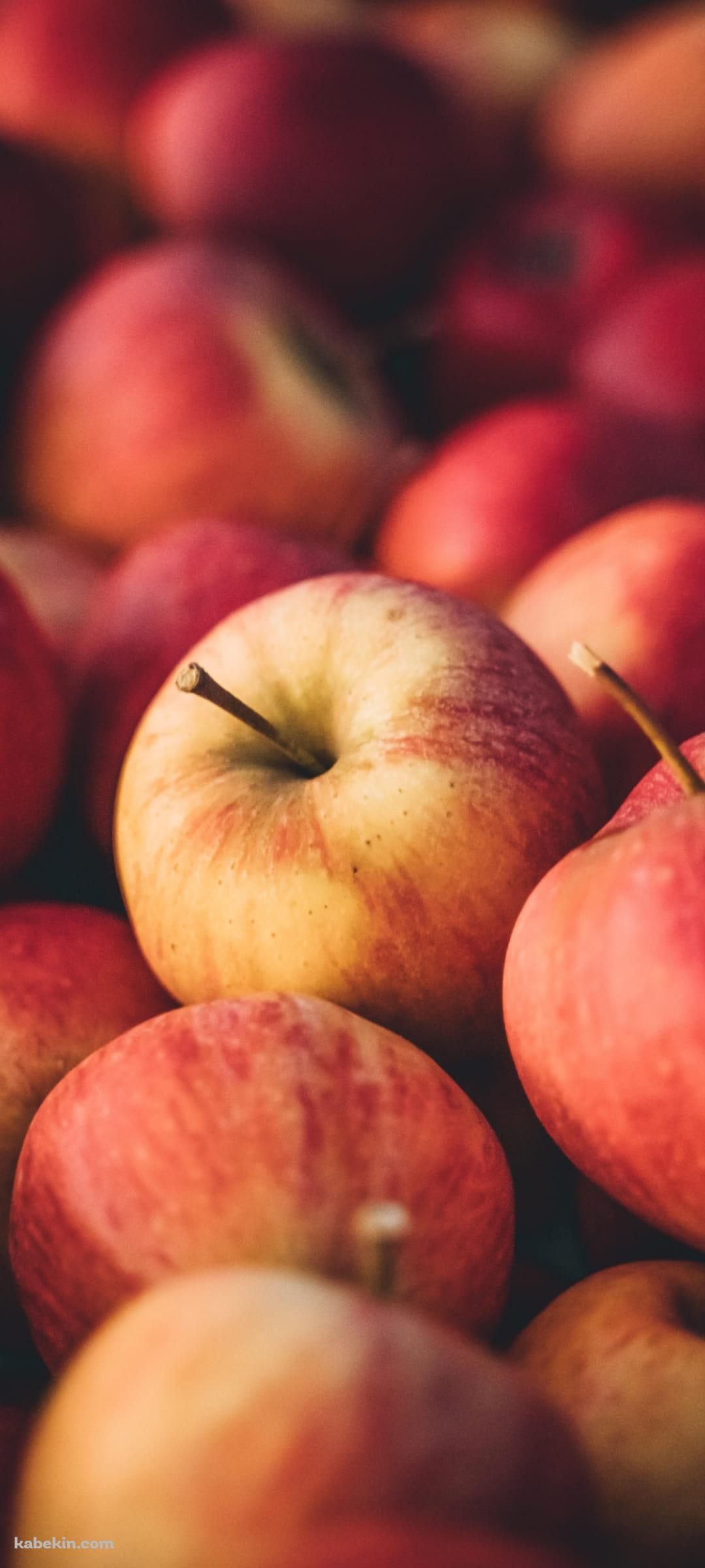 リンゴ祭りのAndroidの壁紙(1080px x 2400px) スマホ用