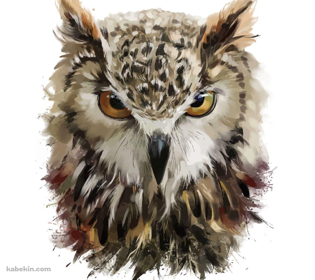 フクロウのイラストのAndroidの壁紙(1080px x 960px) スマホ用