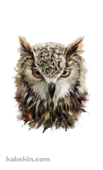 フクロウのイラストのAndroidの壁紙(360px x 592px) スマホ用
