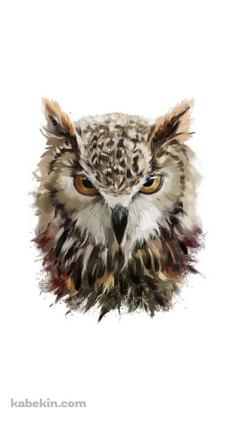 フクロウのイラストのAndroidの壁紙(480px x 854px) スマホ用