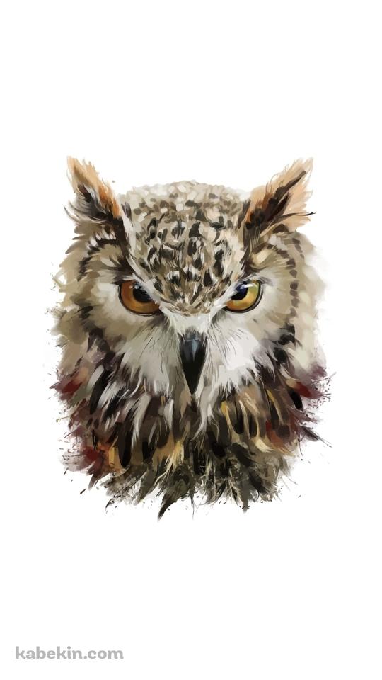 フクロウのイラストのAndroidの壁紙(540px x 960px) スマホ用
