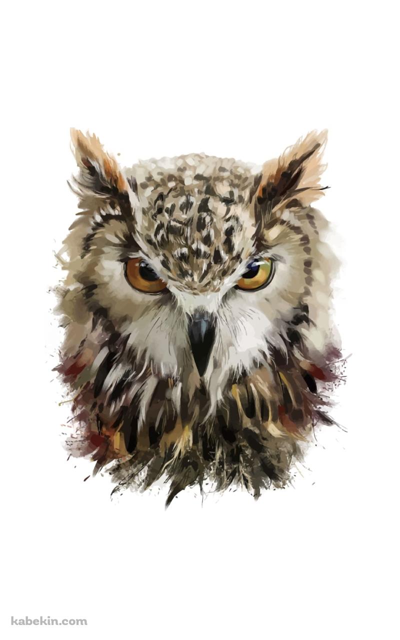 フクロウのイラストのAndroidの壁紙(800px x 1280px) スマホ用