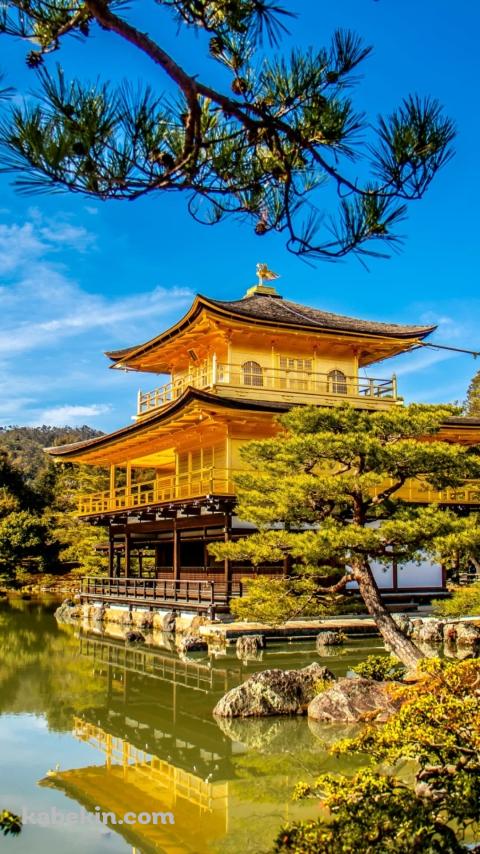 京都府 金閣寺のAndroidの壁紙(480px x 854px) スマホ用