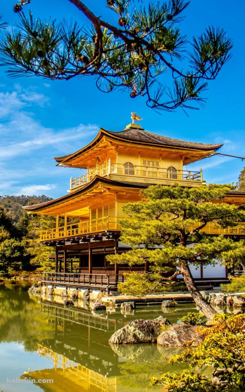 京都府 金閣寺のAndroidの壁紙(800px x 1280px) スマホ用